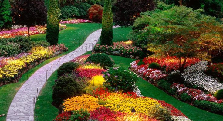 Цветовая схема является основой не только для оформления жилых помещений, но и для оформления сада.